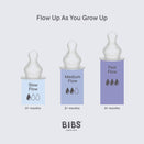 BIBS Bottle Silicone Teats