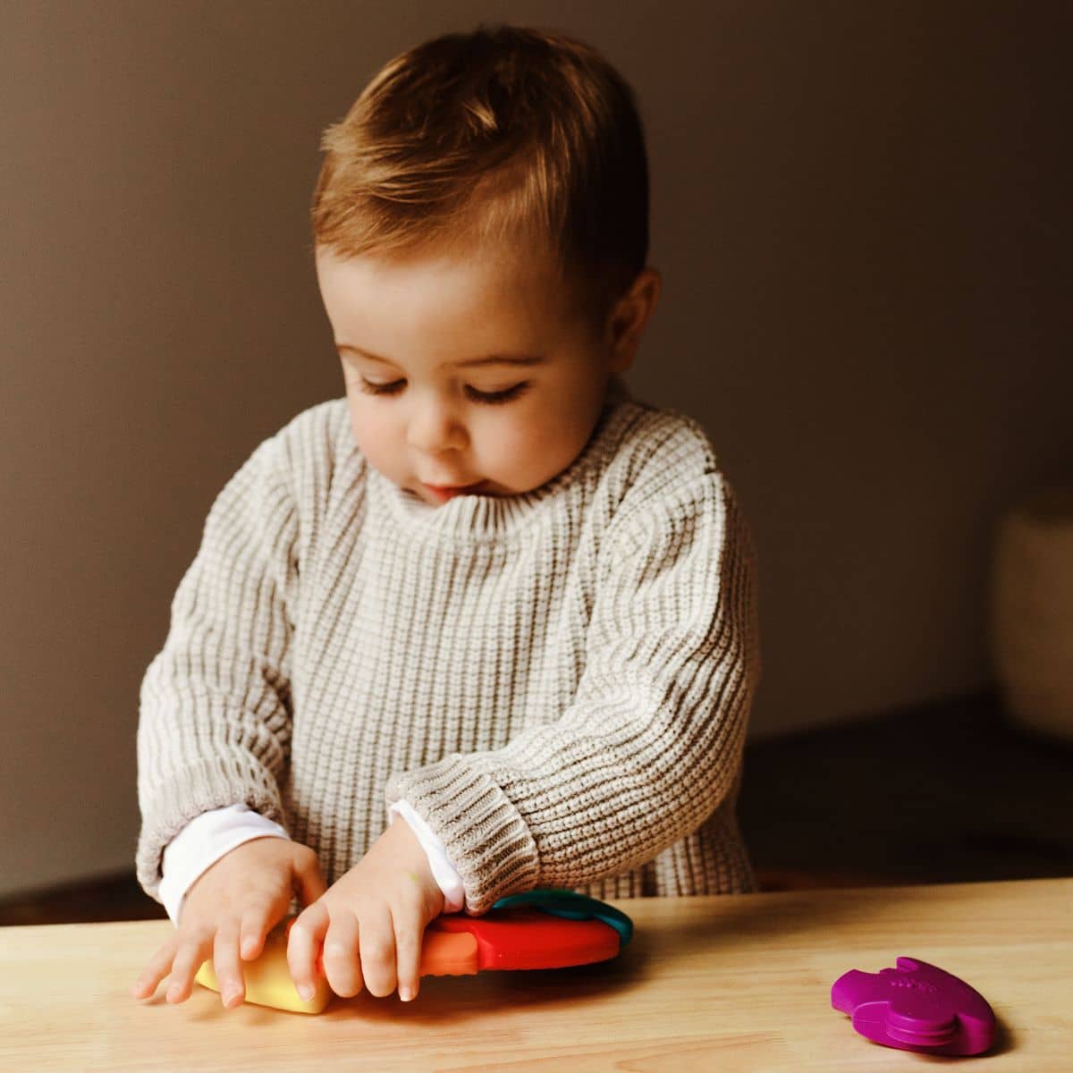 Jellystone Designs Colour Wheel Teether and Toy - Bright