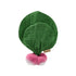 Oli & Carol Mini Doudou Teether - Ramona the Radish