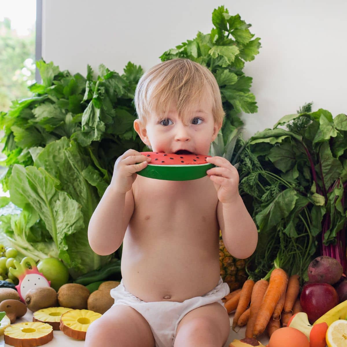 Wally the 2024 watermelon teether