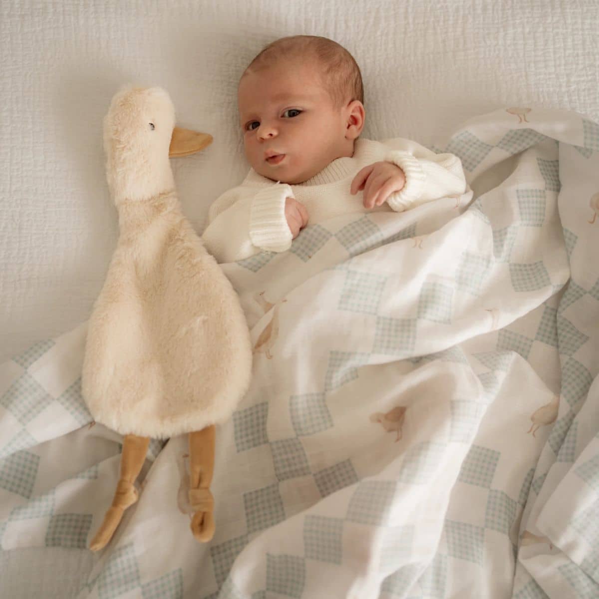 Pop Ya Tot Comforter Toy - Waddles the Goose