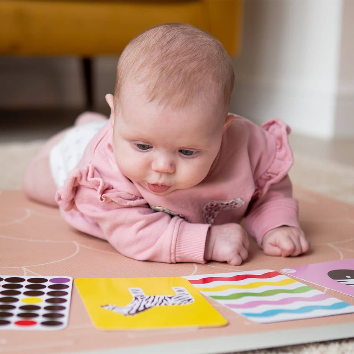 Priya & Peanut Baby High Contrast Sensory Flash Cards - Colourful