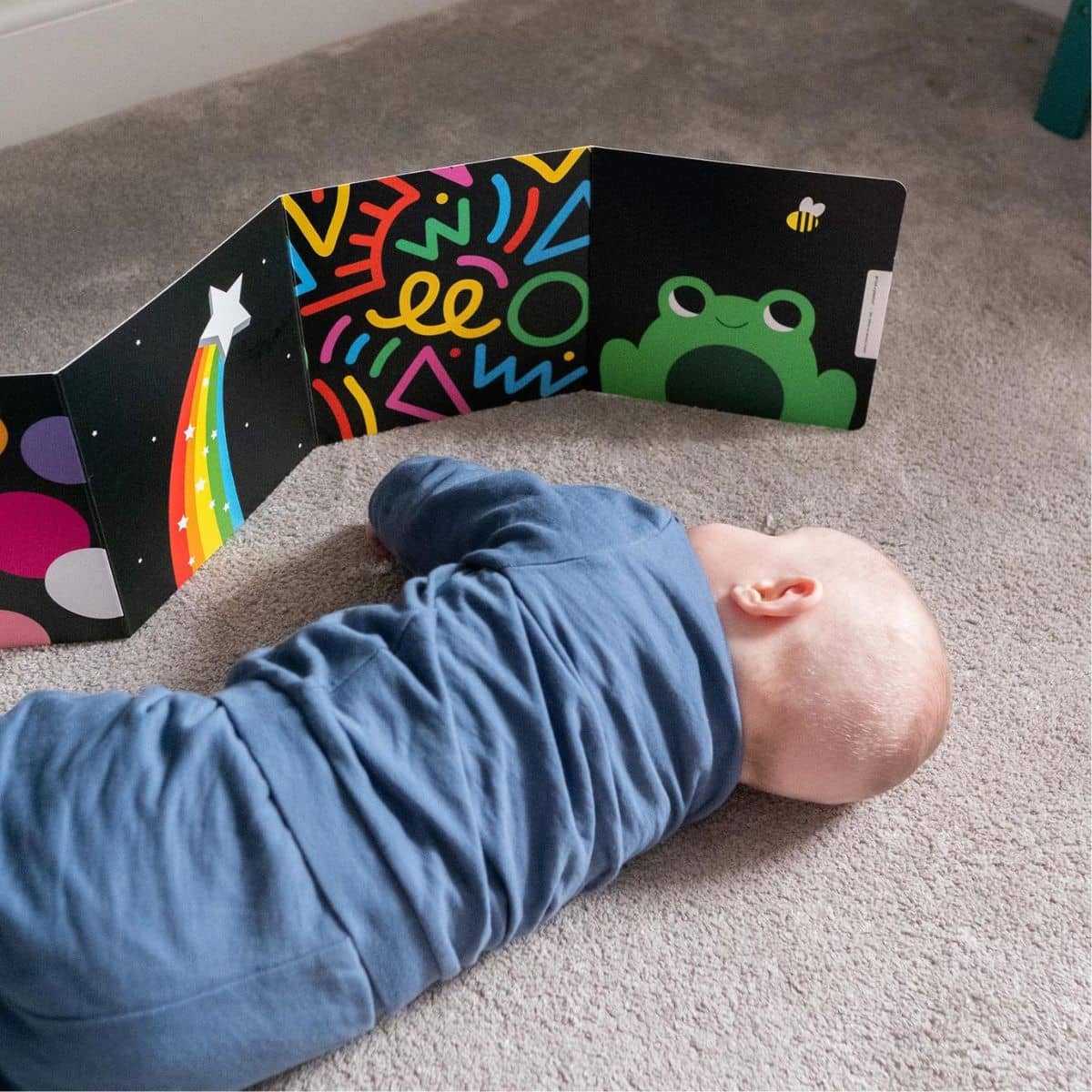 Priya & Peanut Fold Out Sensory Board Book - Colourful