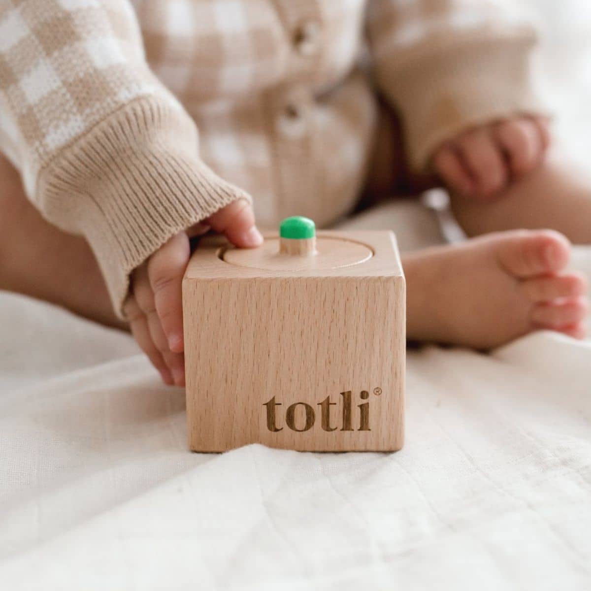 Totli Montessori Toys - The Pincer Puzzle