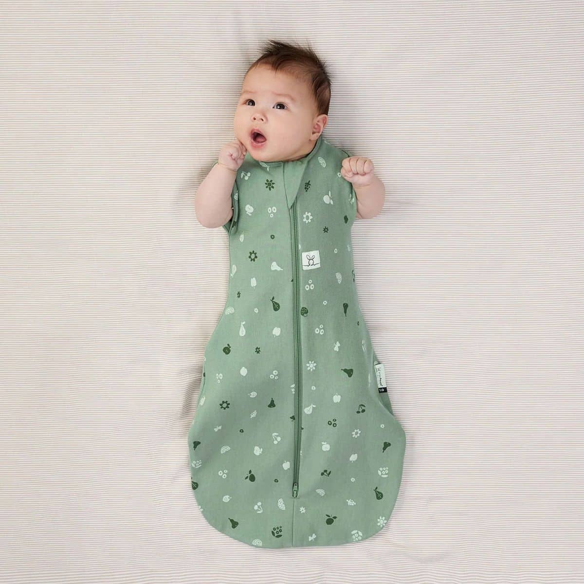 ergoPouch Cocoon Swaddle Bag - Sweet Orchard