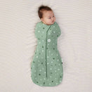 ergoPouch Cocoon Swaddle Bag - Sweet Orchard